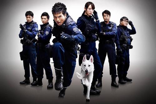 日本武藏大学学历认证